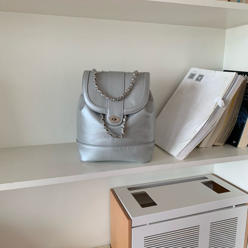 Women's Stylish Classic Style Fashionable Chain Bags