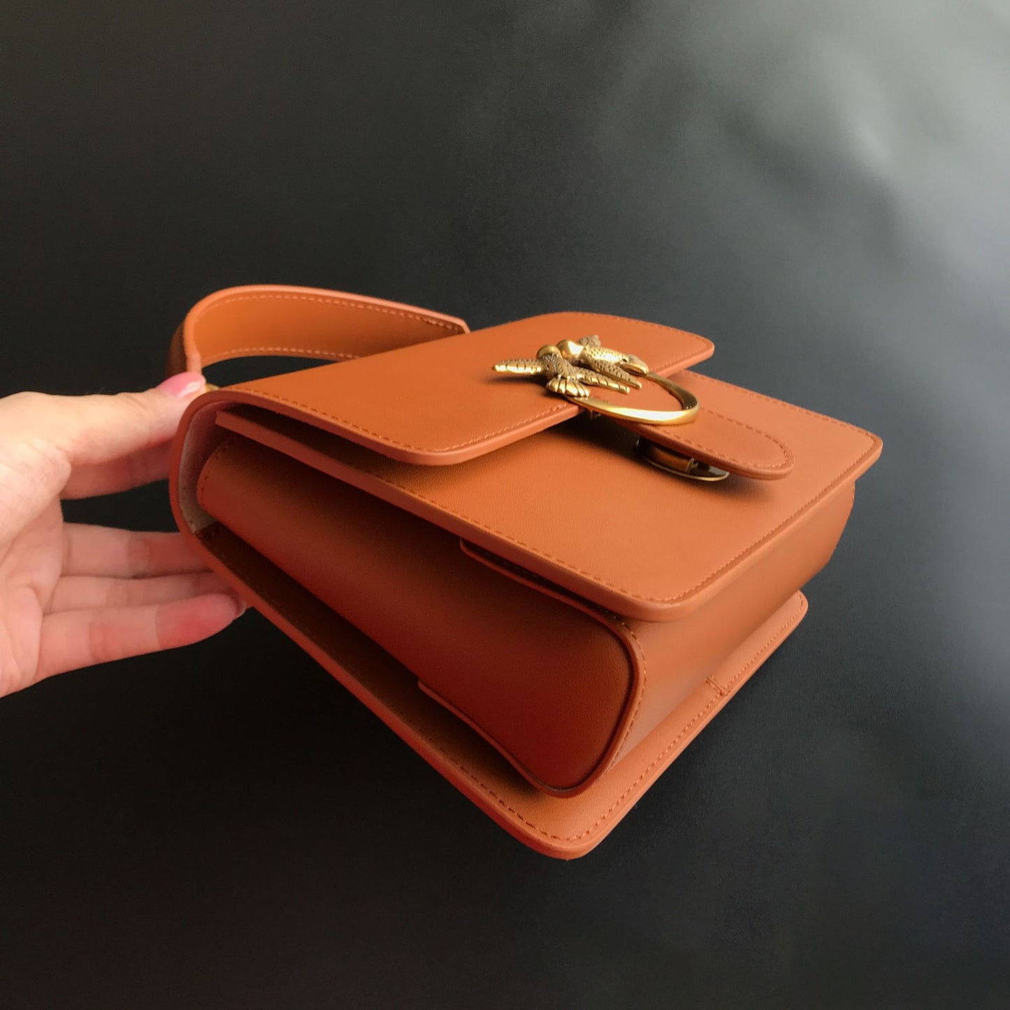 Women's High Version Leather Organ Portable Bird Bags