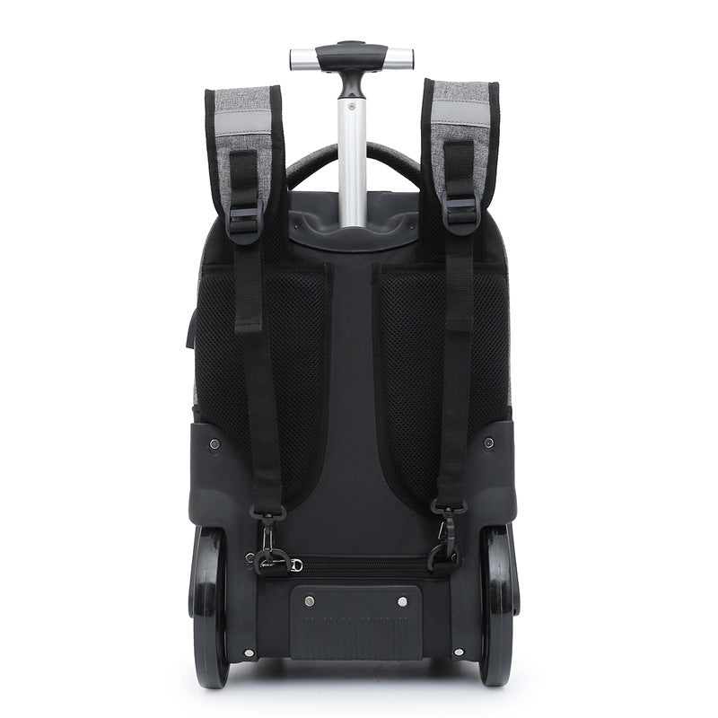 Women's & Men's & Bull Double Boarding Business Trip Large Luggage