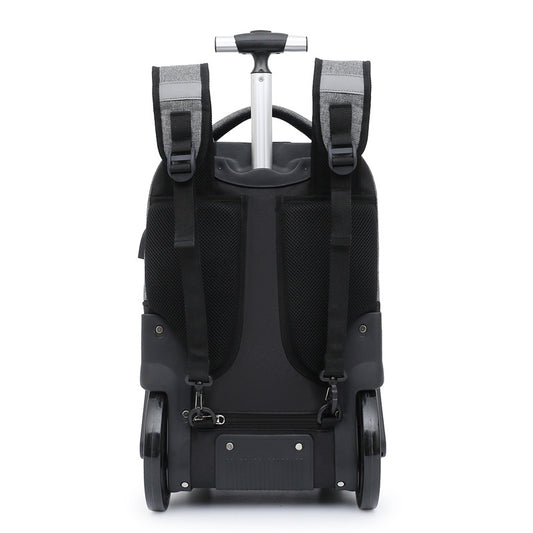 Women's & Men's & Bull Double Boarding Business Trip Large Luggage