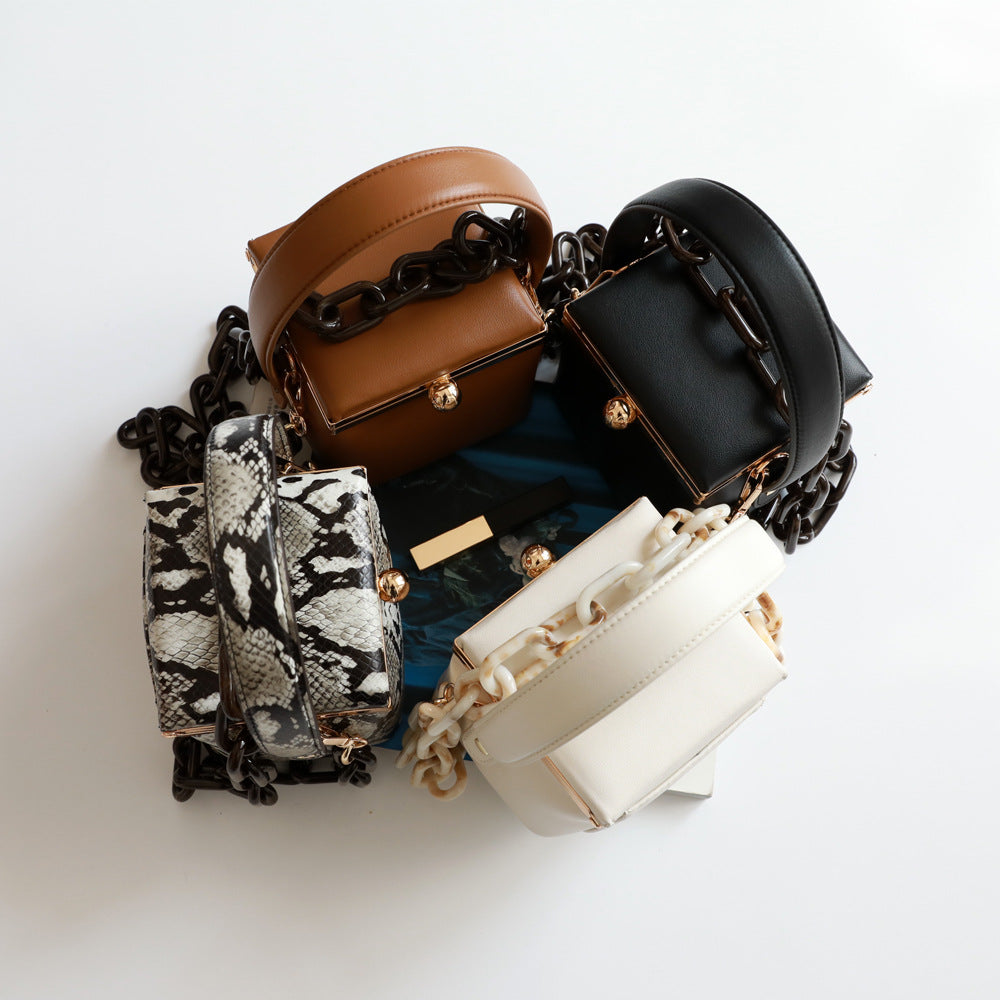 Mini Acrylic Thick Chain Portable Clip Bags